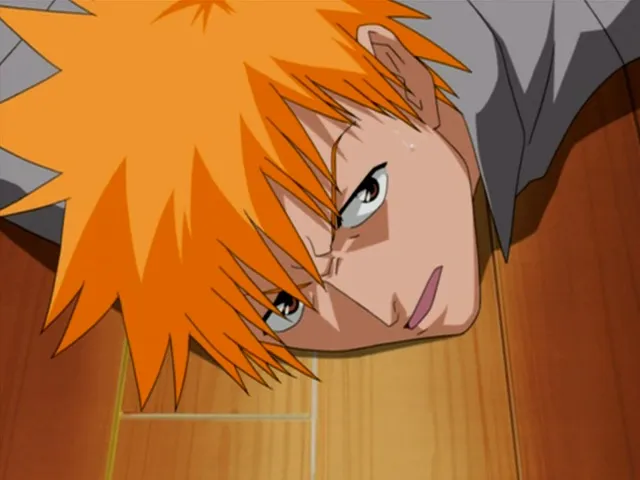 Capture 17 — Épisode 1 : La Journée où je suis devenu Shinigami