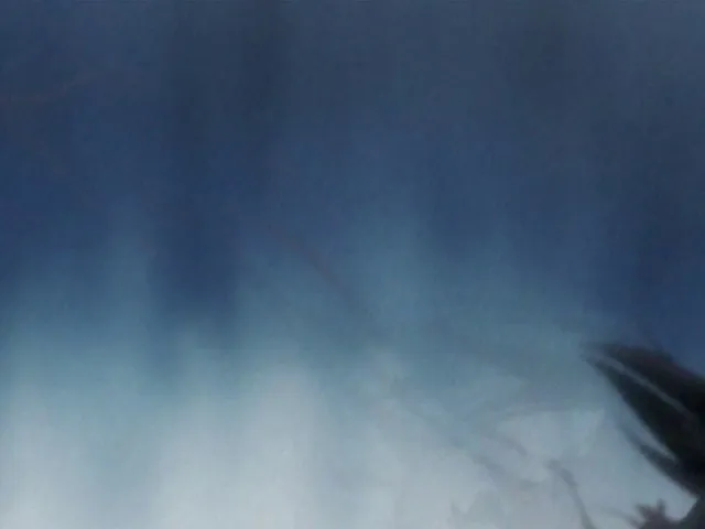 Capture 9 — Épisode 2 : Le Travail d'un Shinigami