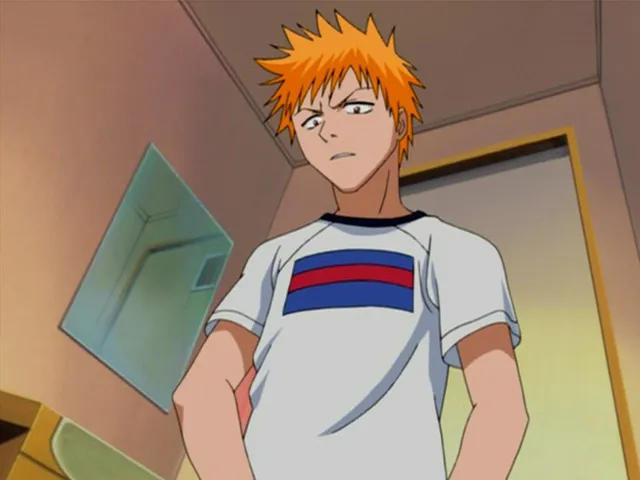 Capture 13 — Épisode 16 : Rencontre ! Le Shinigami qu'Ichigo a rencontré