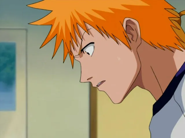 Capture 21 — Épisode 16 : Rencontre ! Le Shinigami qu'Ichigo a rencontré