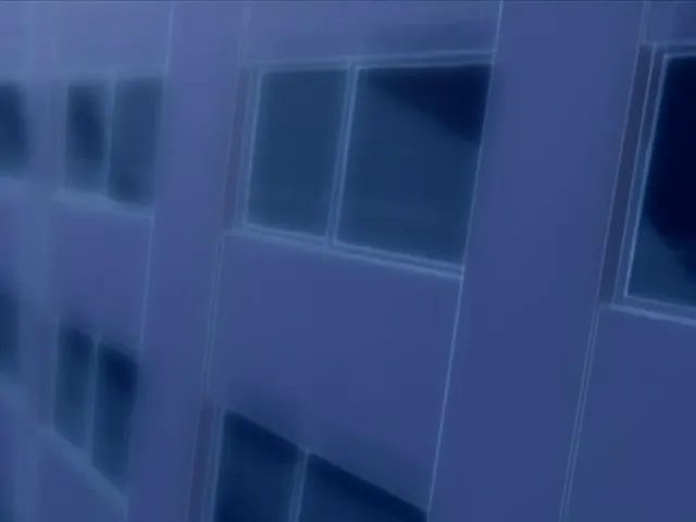 Capture 21 — Épisode 19 : Ichigo devient un Hollow !