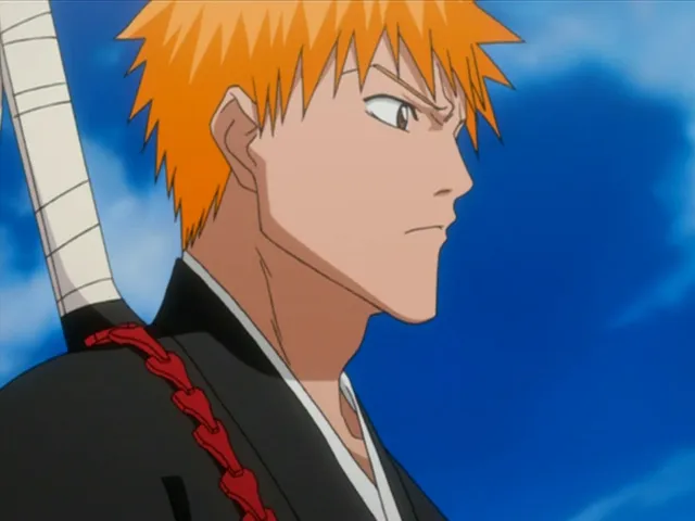 Capture 6 — Épisode 22 : Technique Senkaimon