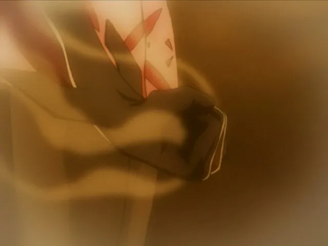 Capture 19 — Épisode 22 : Technique Senkaimon