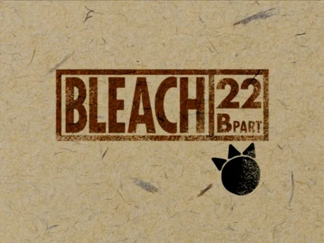 Capture 22 — Épisode 22 : Technique Senkaimon