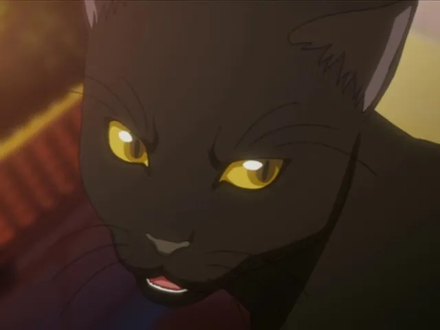 Capture 14 — Épisode 31 : Les Capitaines du Gotei 13