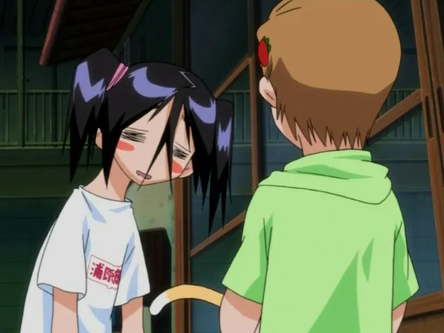 Capture 12 — Épisode 33 : Le Capitaine Kurotsuchi Mayuri