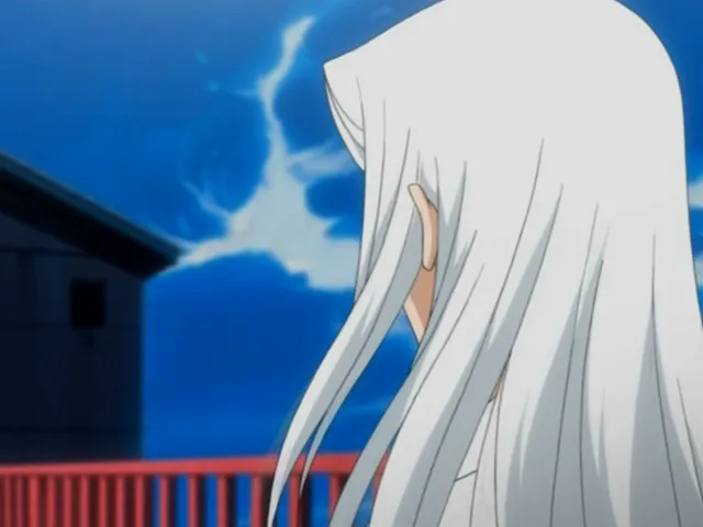 Capture 14 — Épisode 42 : Ichigo s'éveille ! La puissance du Bankai