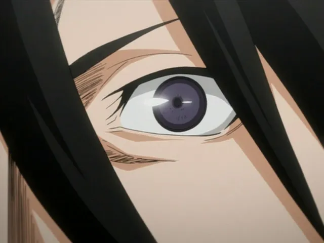 Capture 19 — Épisode 58 : Bankai ! Senbonzakura Kageyoshi