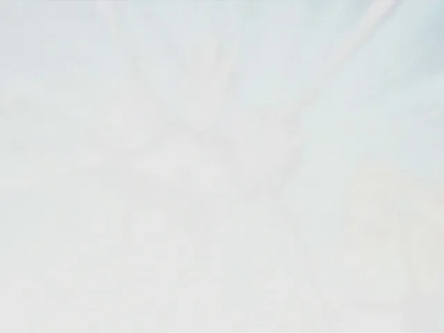 Capture 25 — Épisode 82 : Ichigo contre Kariya