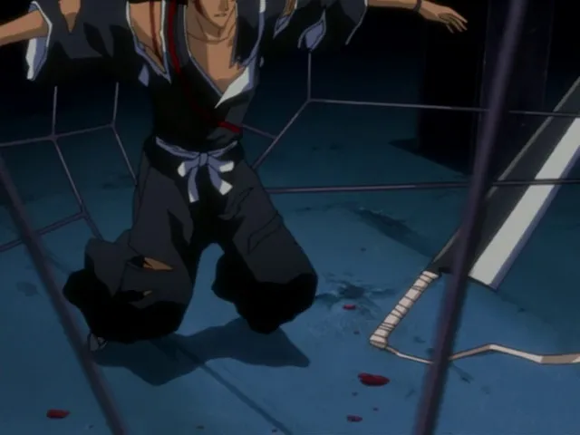 Capture 29 — Épisode 82 : Ichigo contre Kariya