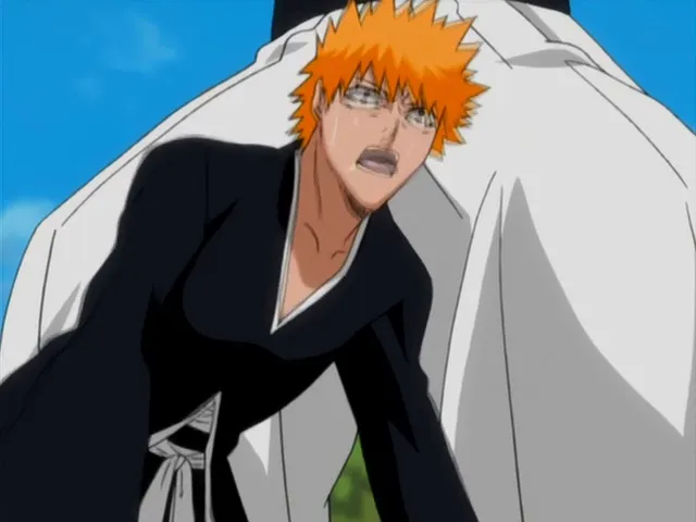 Capture 5 — Épisode 114 : Ichigo contre Grimmjow — Round 1