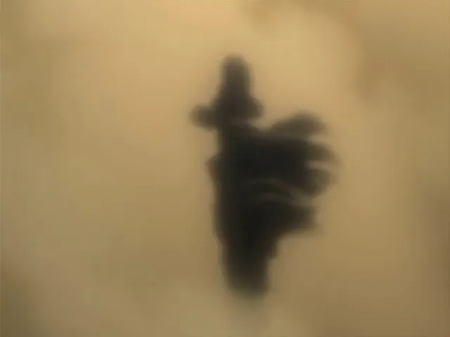Capture 12 — Épisode 114 : Ichigo contre Grimmjow — Round 1