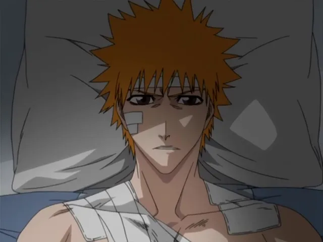 Capture 24 — Épisode 114 : Ichigo contre Grimmjow — Round 1