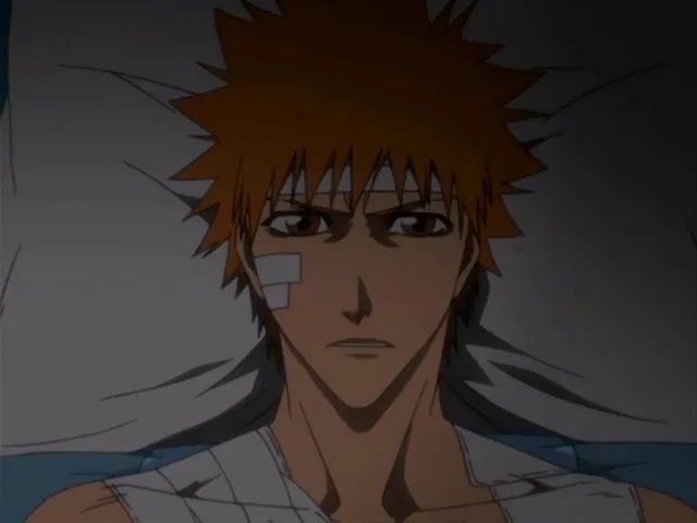 Capture 29 — Épisode 114 : Ichigo contre Grimmjow — Round 1