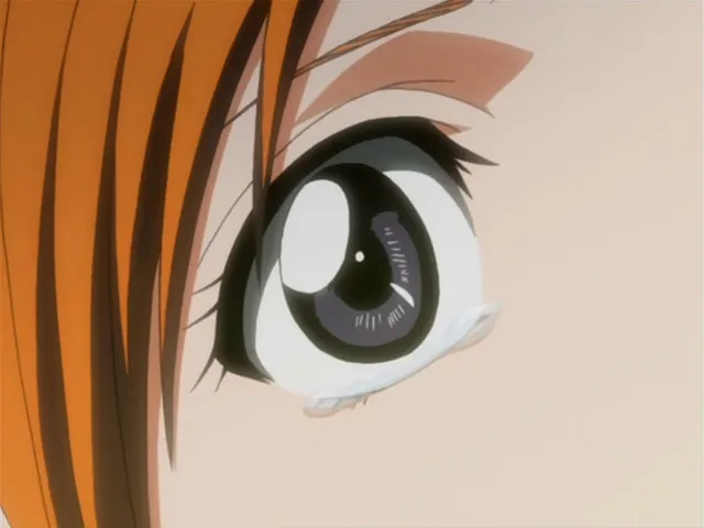 Capture 26 — Épisode 116 : Orihime révèle ses pouvoirs