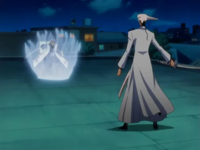 Capture 2 — Épisode 117 : La Punition de Grimmjow