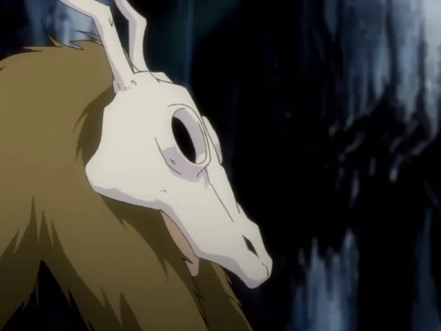 Capture 5 — Épisode 148 : Kenpachi contre Nnoitora