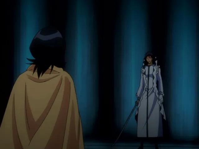 Capture 19 — Épisode 154 : Ichigo gagne — La victoire sur Grimmjow