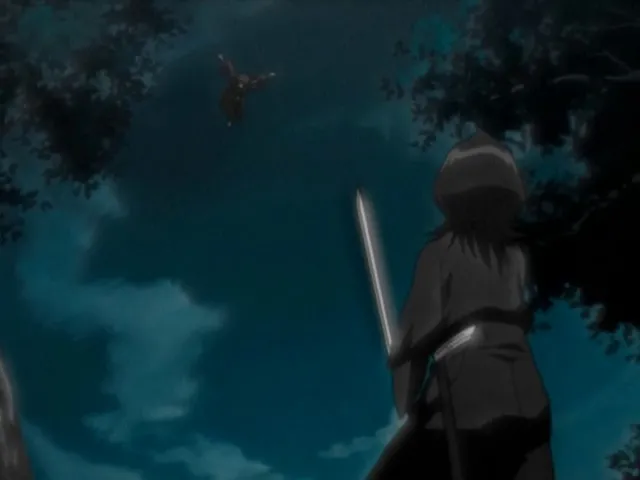 Capture 23 — Épisode 154 : Ichigo gagne — La victoire sur Grimmjow