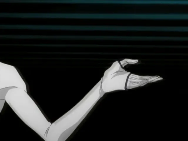 Capture 2 — Épisode 161 : Byakuya contre Zommari