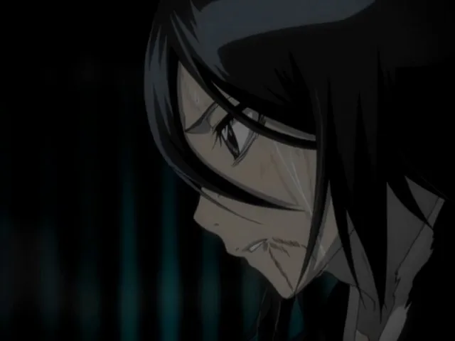 Capture 30 — Épisode 161 : Byakuya contre Zommari