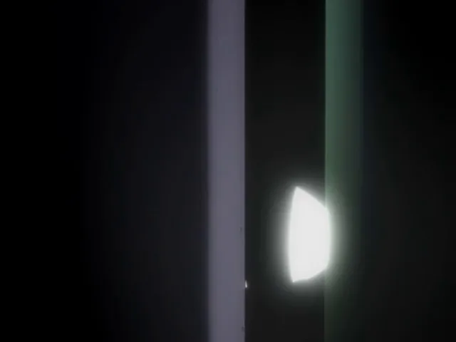 Capture 14 — Épisode 162 : Senbonzakura — La Victoire de Byakuya