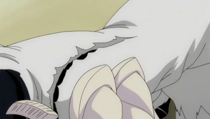 Capture 18 — Épisode 202 : Starrk, Barragan, Halibel