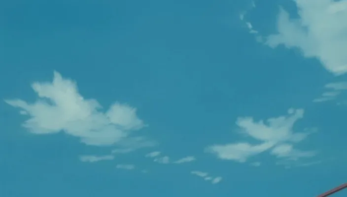 Capture 25 — Épisode 204 : La Stratégie du Seppuku d'Ichigo