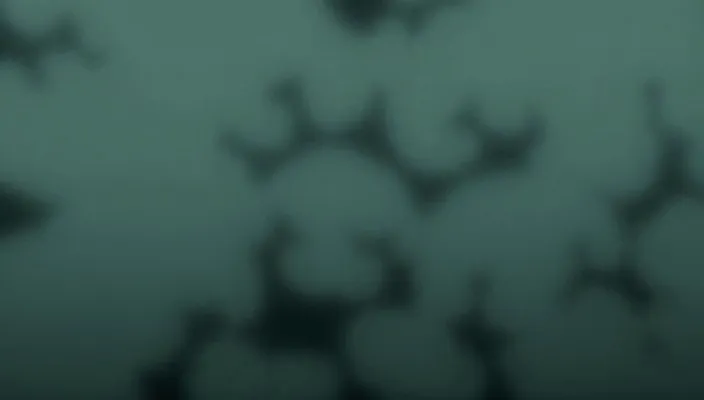 Capture 11 — Épisode 211 : Trahison ! Les Manœuvres Secrètes d'Aizen
