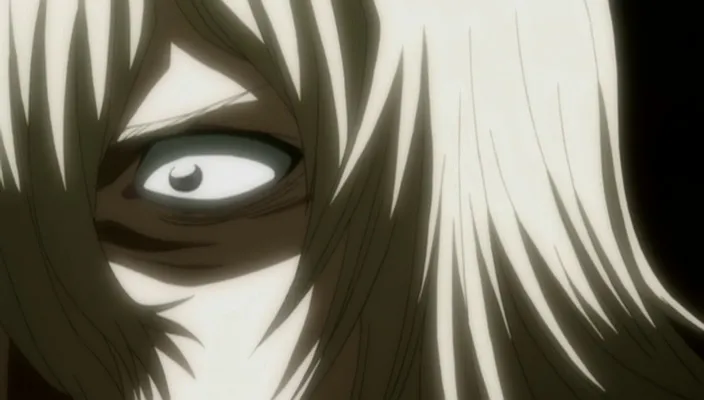 Capture 29 — Épisode 212 : Sauver Hirako ! Aizen contre Urahara