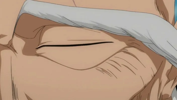 Capture 7 — Épisode 215 : Défends Karakura Town ! L'Armée Shinigami se déploie