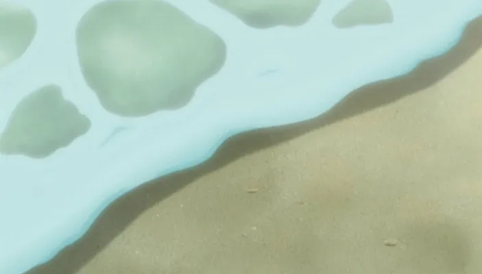 Capture 10 — Épisode 228 : Été ! Mer ! Festival des Maillots de Bain !!
