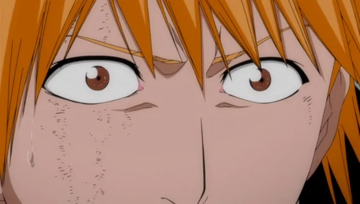 Capture 14 — Épisode 233 : Zangetsu devient un ennemi