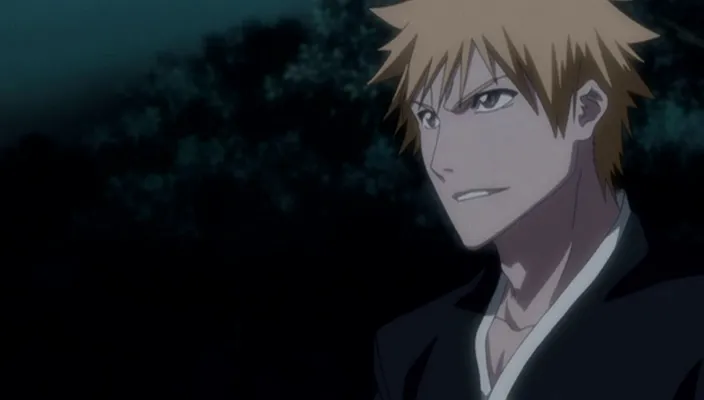 Capture 29 — Épisode 240 : La Trahison de Byakuya