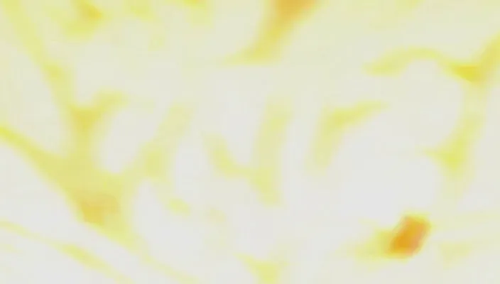 Capture 8 — Épisode 242 : Shinigamis et Zanpakutō — Sortie totale