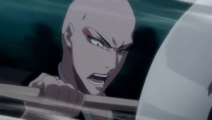 Capture 24 — Épisode 242 : Shinigamis et Zanpakutō — Sortie totale