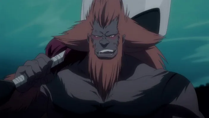 Capture 26 — Épisode 242 : Shinigamis et Zanpakutō — Sortie totale