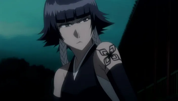 Capture 3 — Épisode 245 : Poursuivre Byakuya ! Les Divisions du Gotei en confusion
