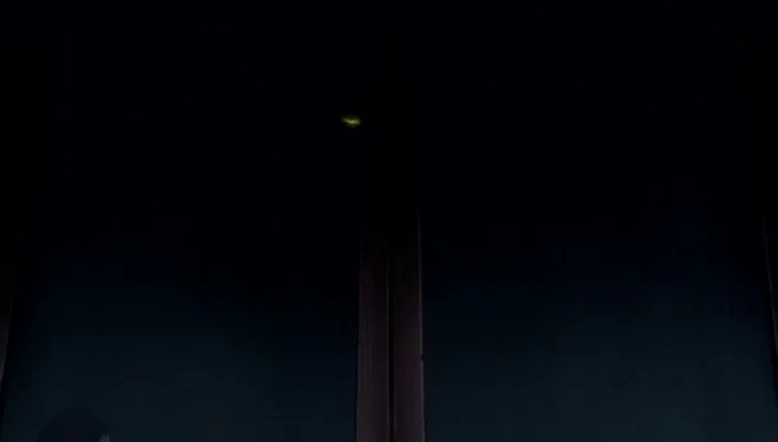 Capture 4 — Épisode 245 : Poursuivre Byakuya ! Les Divisions du Gotei en confusion