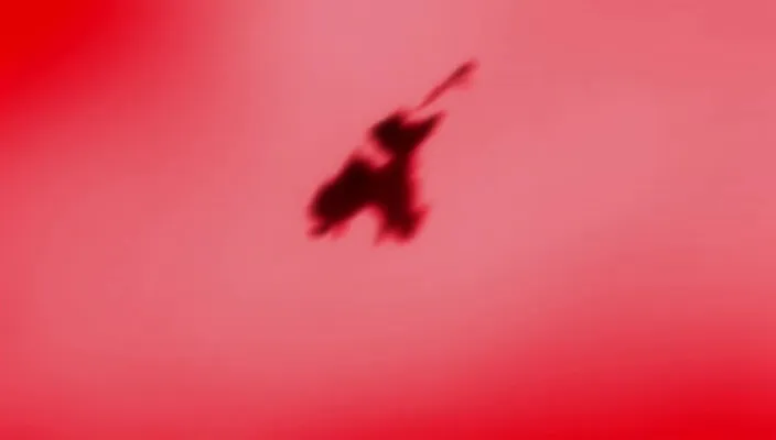 Capture 8 — Épisode 266 : La Bataille de Fake Karakura Town