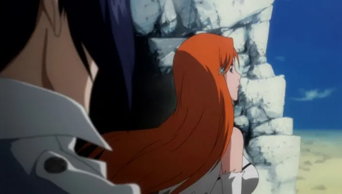 Capture 5 — Épisode 270 : Shunsui contre Starrk
