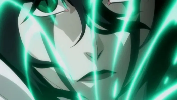 Capture 7 — Épisode 270 : Shunsui contre Starrk