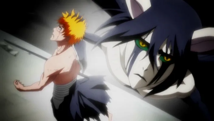 Capture 29 — Épisode 270 : Shunsui contre Starrk