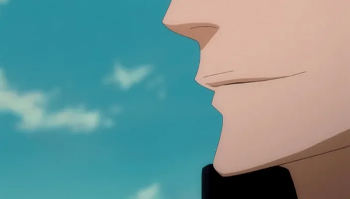 Capture 14 — Épisode 285 : Yamamoto contre Aizen