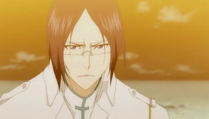 Capture 22 — Épisode 285 : Yamamoto contre Aizen