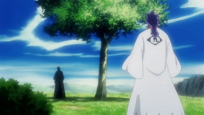 Capture 30 — Épisode 289 : L'Hōgyoku fusionne avec Aizen