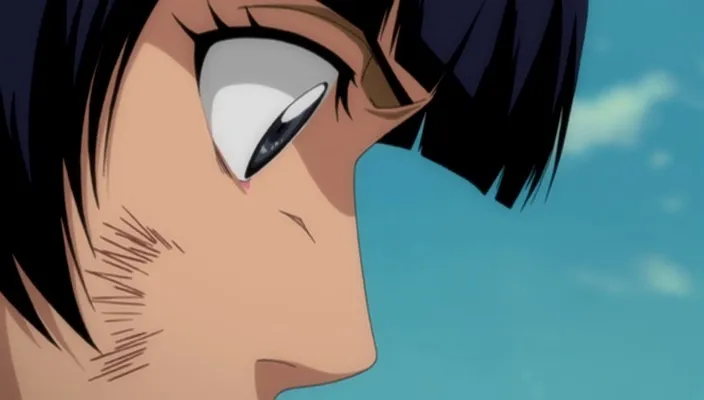 Capture 23 — Épisode 293 : Mort de Gin Ichimaru