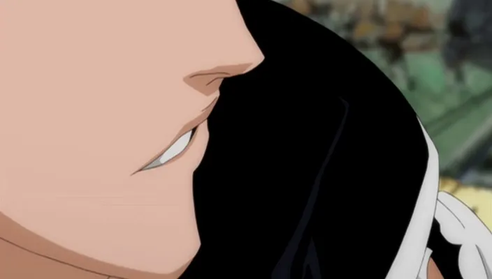 Capture 20 — Épisode 296 : Les Origines d'Ichigo révélées