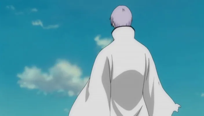 Capture 19 — Épisode 297 : Ichigo revient — L'État Final