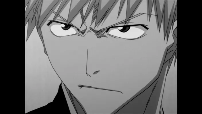 Capture 7 — Épisode 301 : Épilogue — Karakura Town